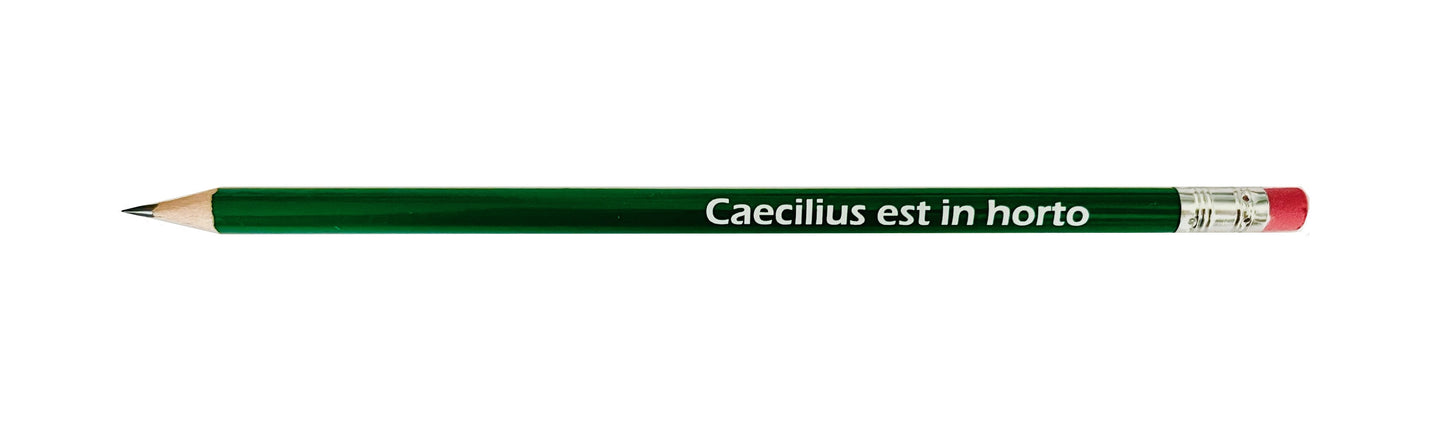 Caecilius est in horto pencil