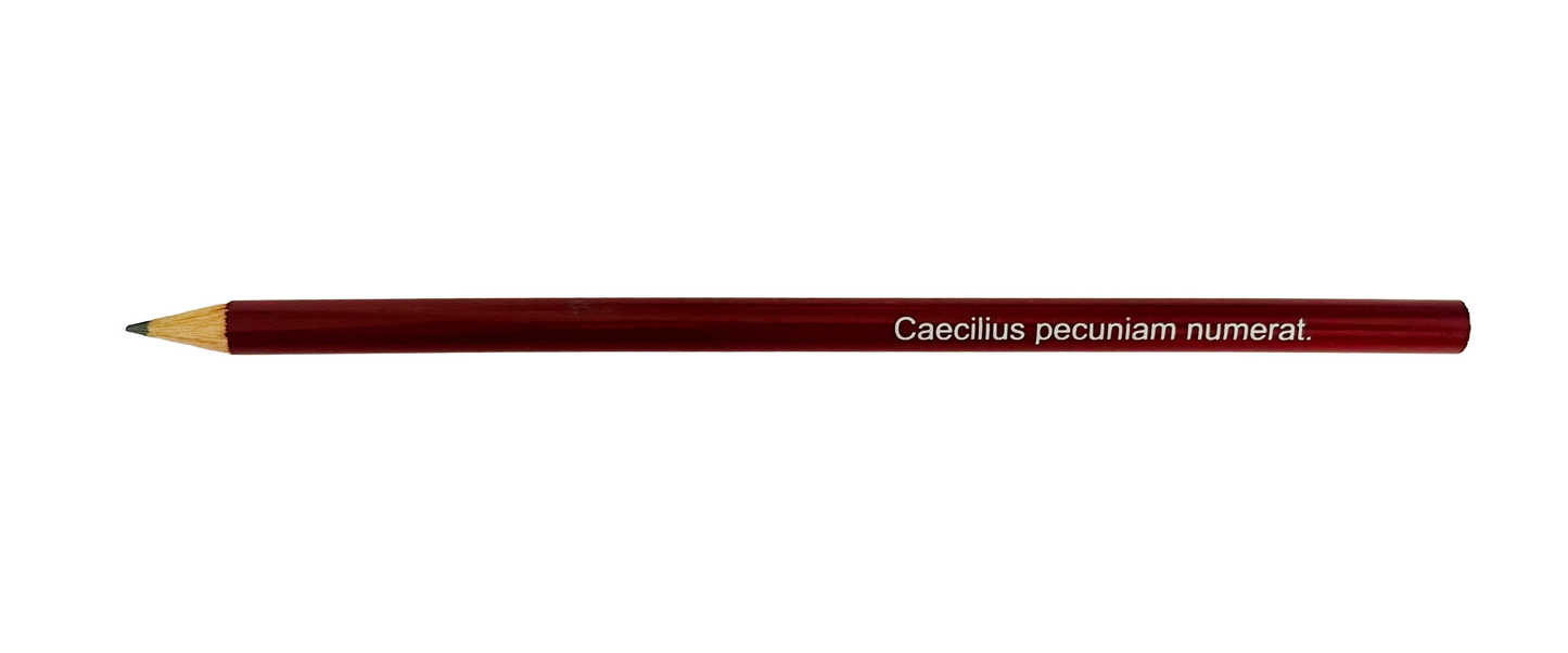 Caecilius pecuniam numerat pencil