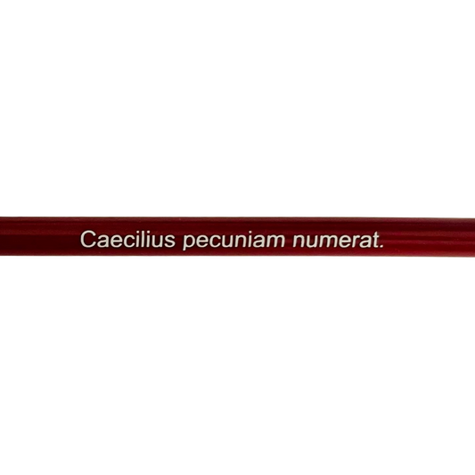 Caecilius pecuniam numerat pencil