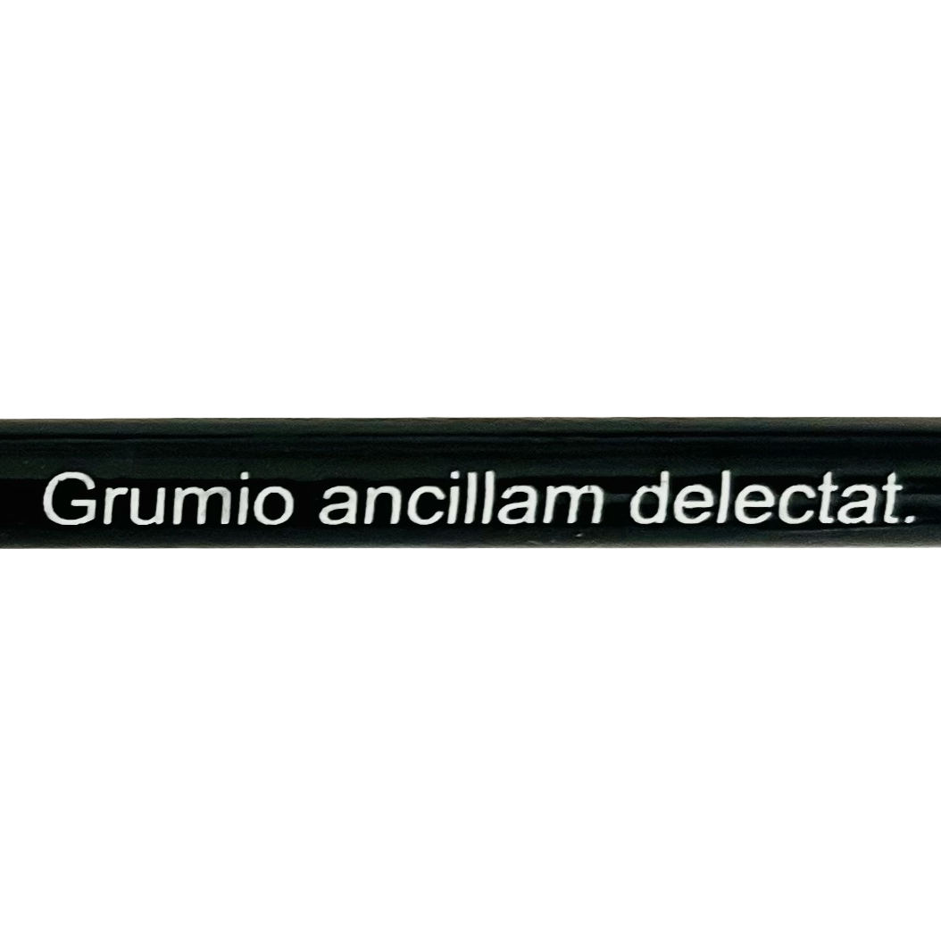 Grumio ancillam delectat pencil