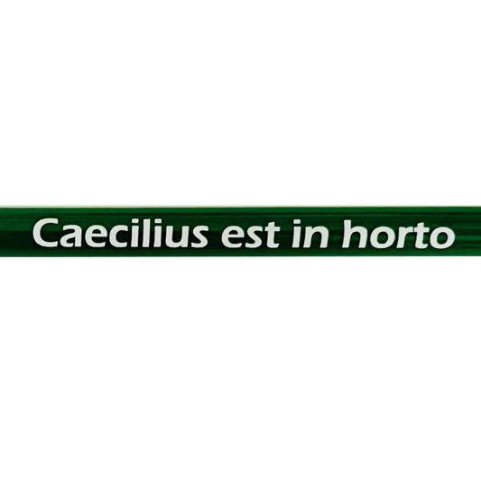 Caecilius est in horto pencil