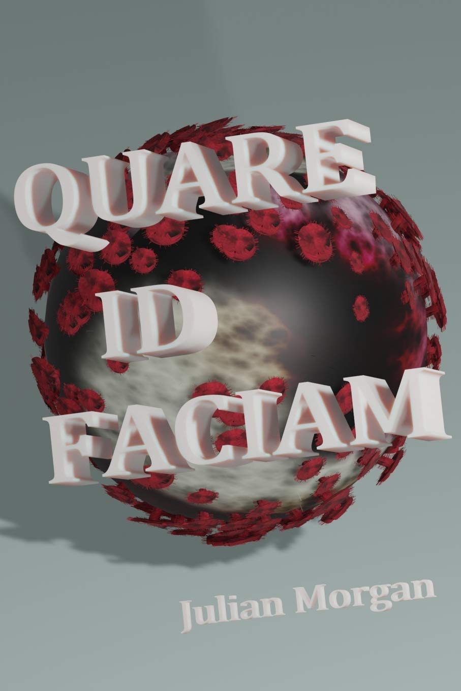QUARE ID FACIAM: AENIGMATA LATINA - Crossword book in latin