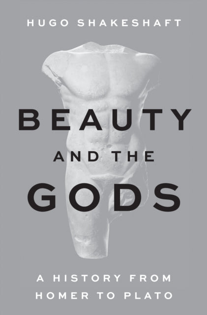 Beauty and the Gods : A History from Homer to Plato