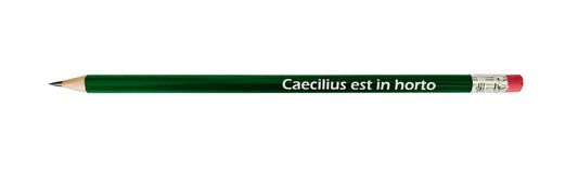 Caecilius est in horto pencil