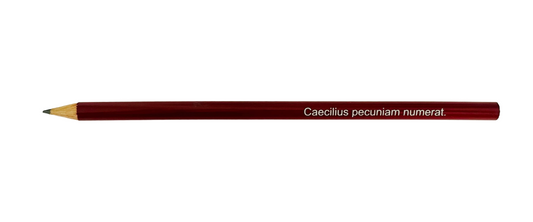 Caecilius pecuniam numerat pencil