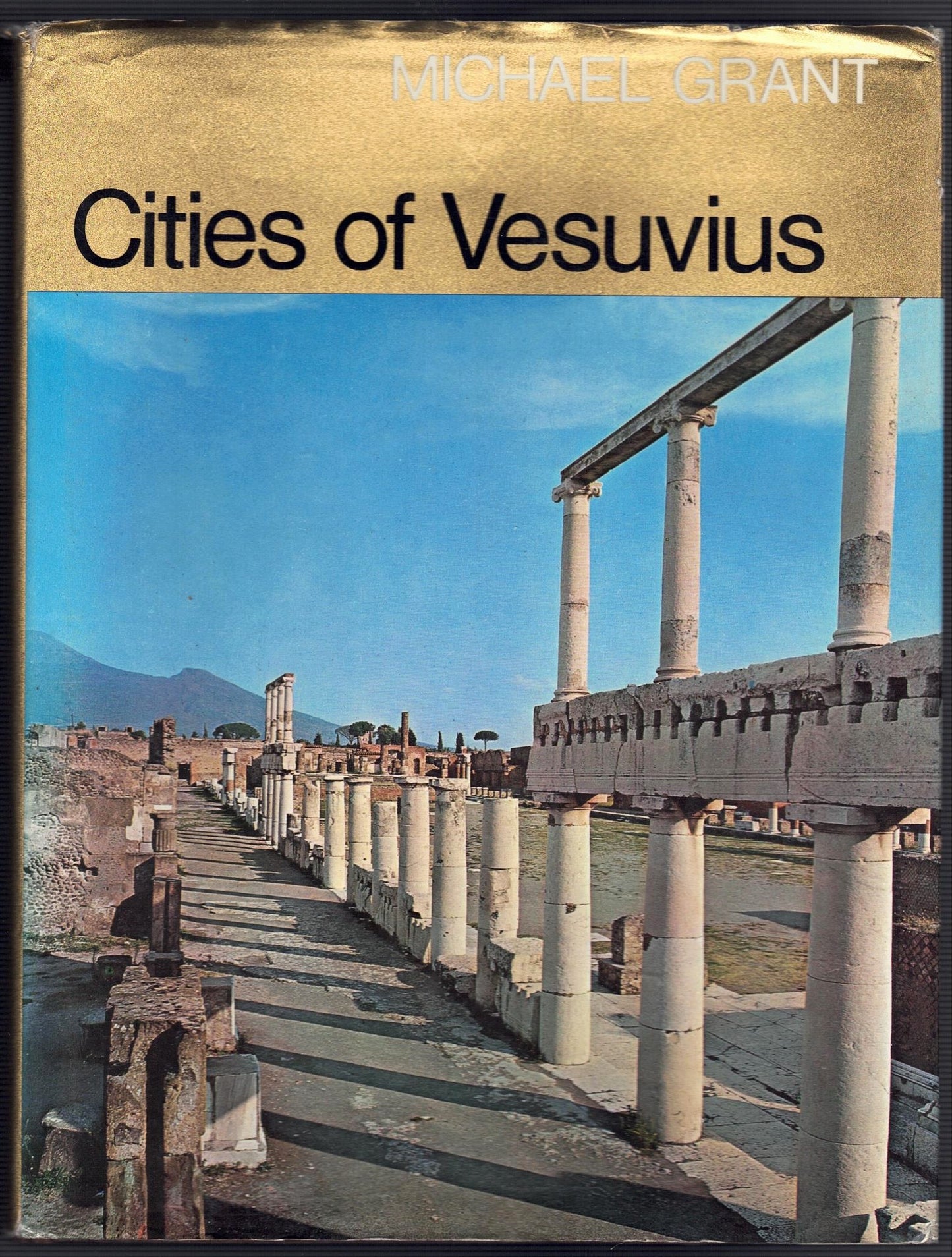 Cities of Vesuvius : Pompeii and Herculaneum