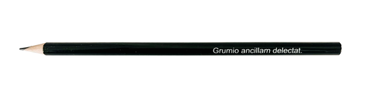 Grumio ancillam delectat pencil