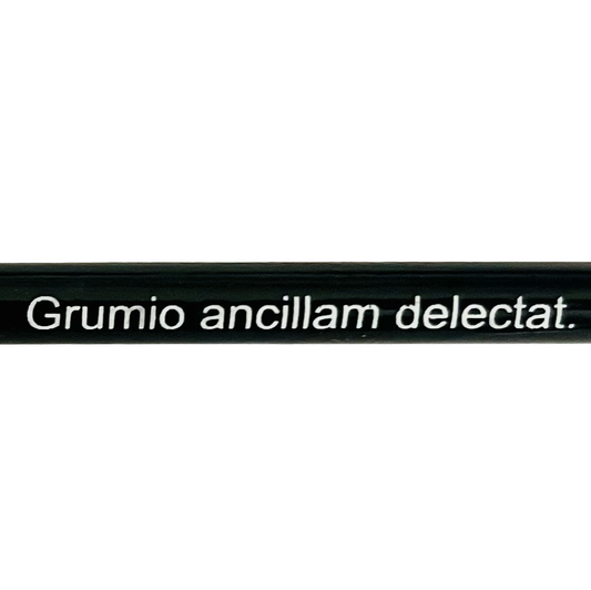 Grumio ancillam delectat pencil
