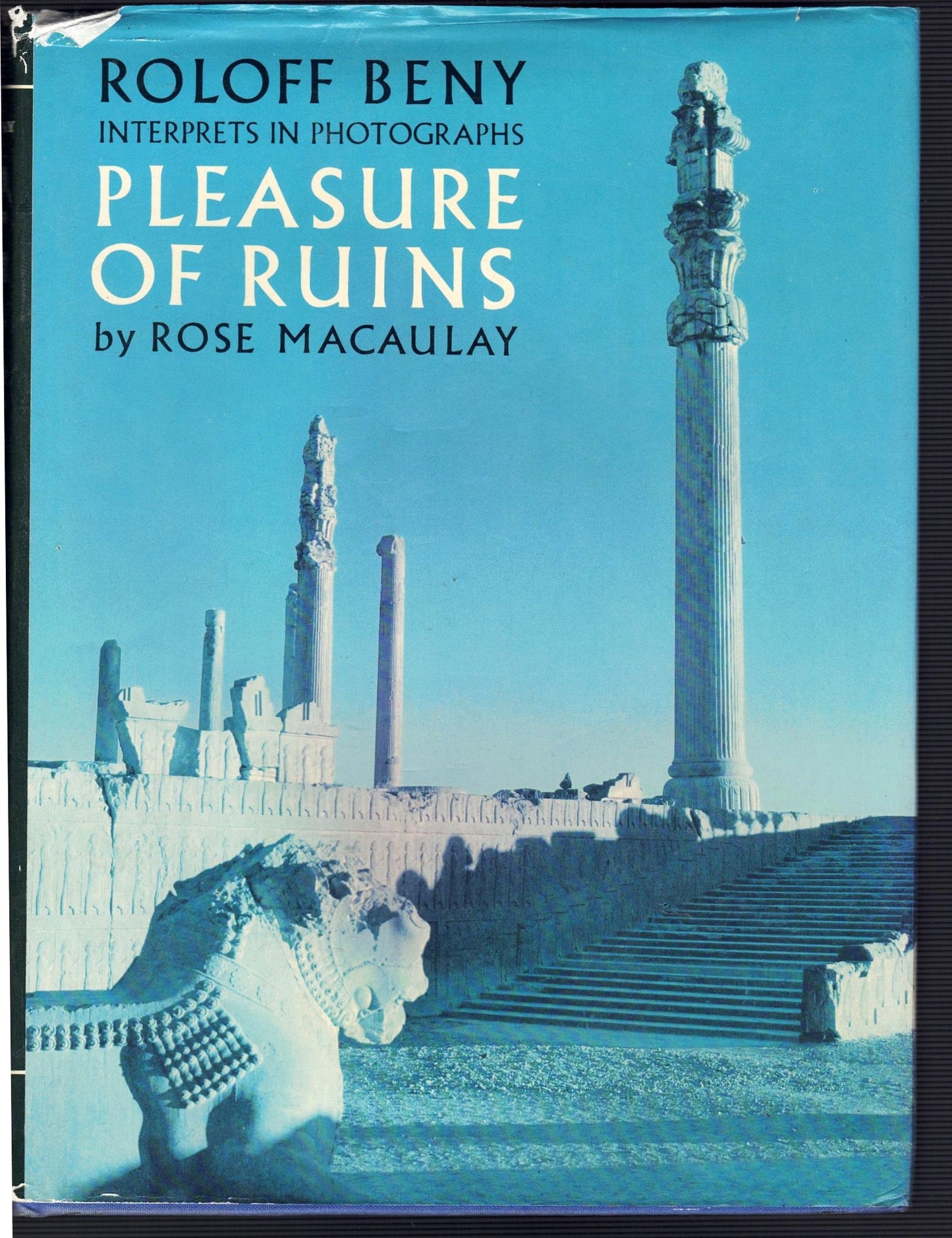 The Pleasure of Ruins